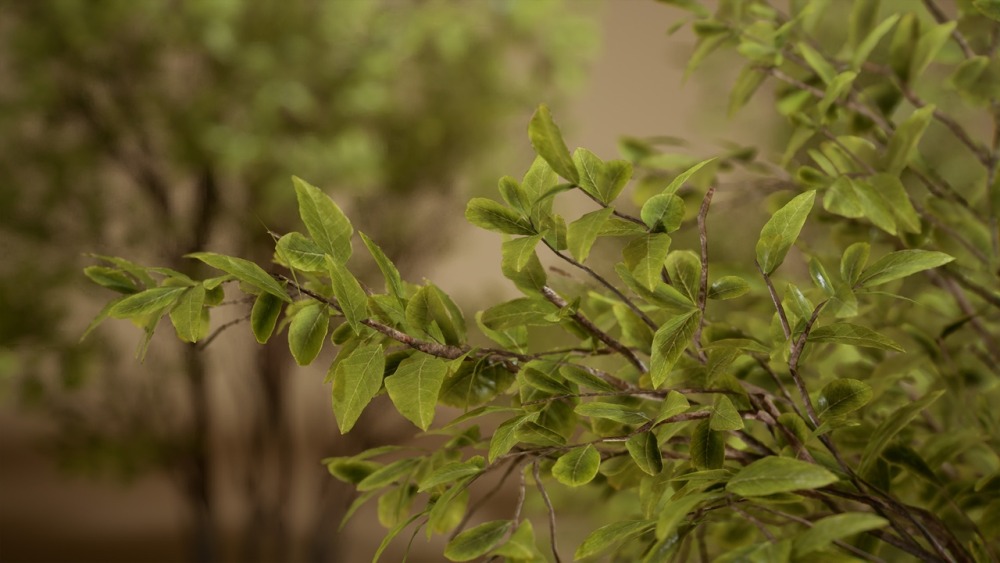 树叶 VOL.5 – 黄杨灌木丛 Foliage VOL.5 – Euonymus Bushes