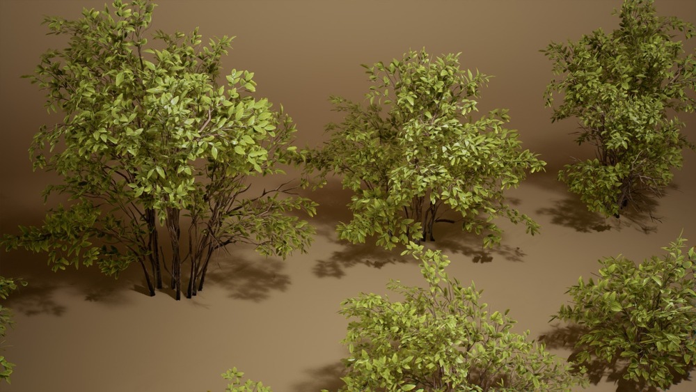 树叶 VOL.5 – 黄杨灌木丛 Foliage VOL.5 – Euonymus Bushes