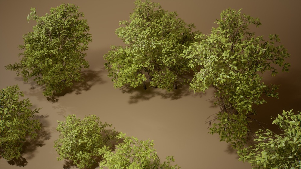 树叶 VOL.5 – 黄杨灌木丛 Foliage VOL.5 – Euonymus Bushes