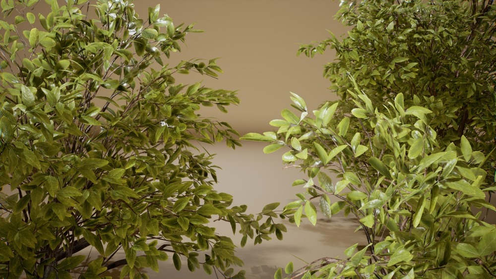 树叶 VOL.5 – 黄杨灌木丛 Foliage VOL.5 – Euonymus Bushes