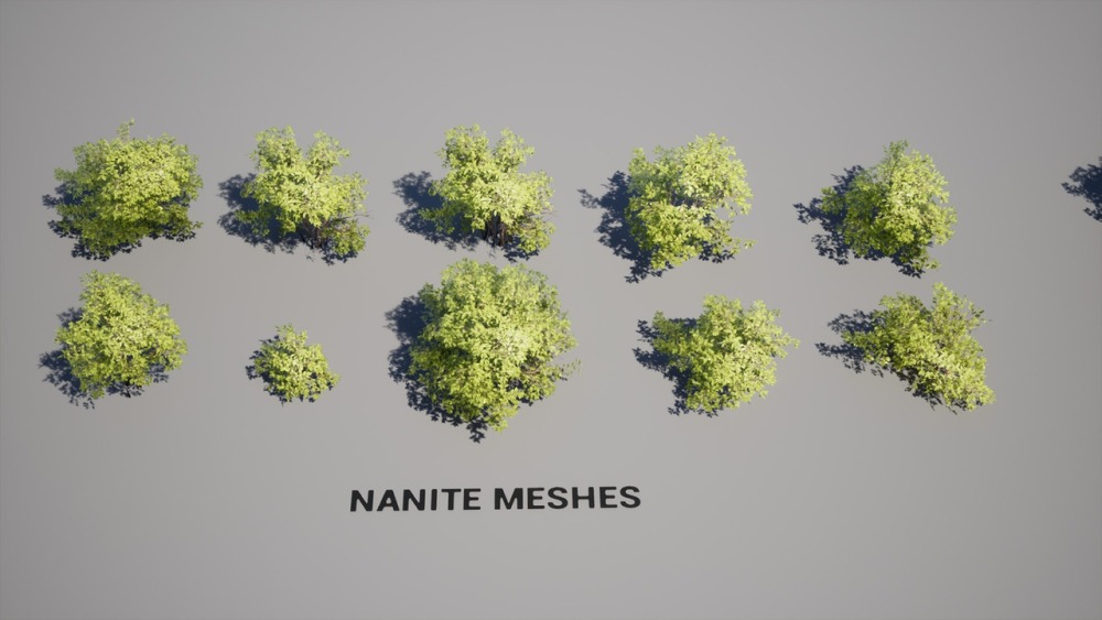 树叶 VOL.5 – 黄杨灌木丛 Foliage VOL.5 – Euonymus Bushes