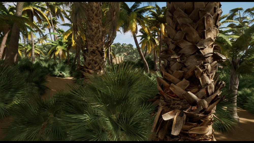 精选棕榈树模型资产Palms Tree All Selection