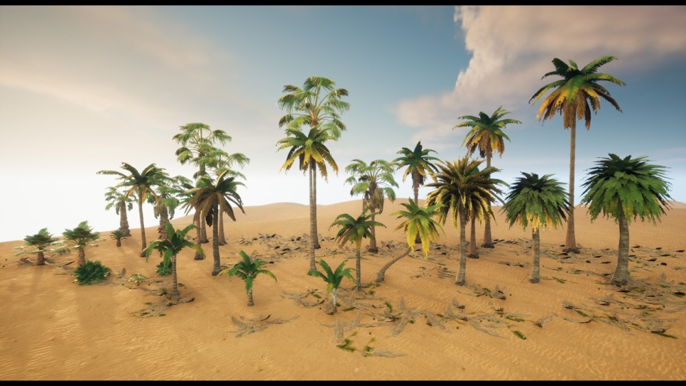 精选棕榈树模型资产Palms Tree All Selection