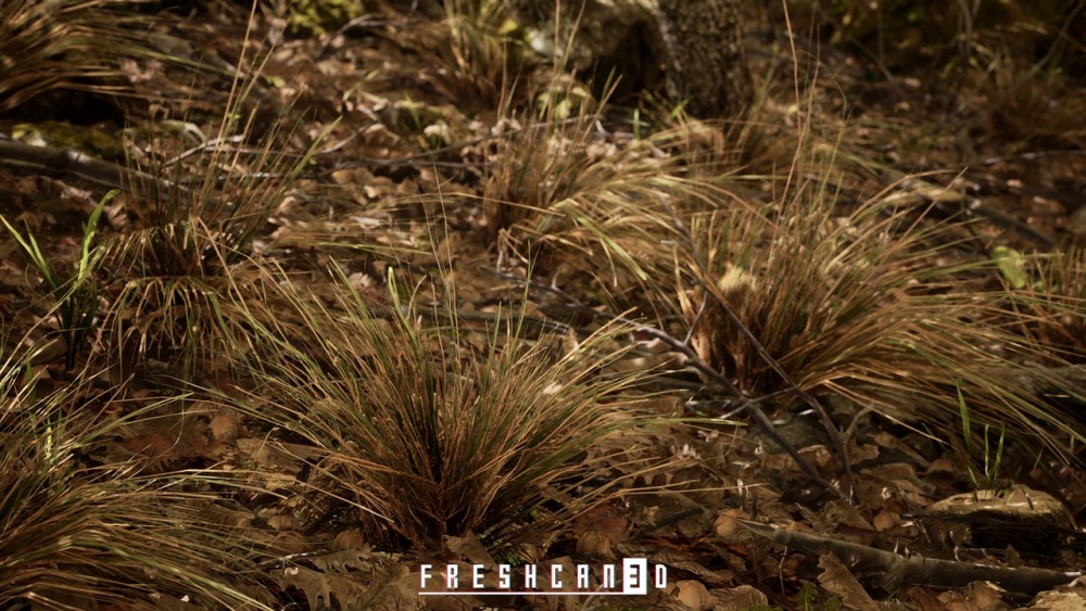 程序化橡树林Procedural Oak Forest