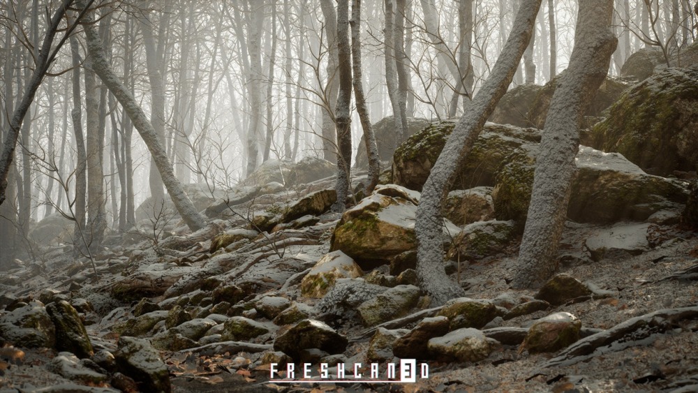 程序化橡树林Procedural Oak Forest