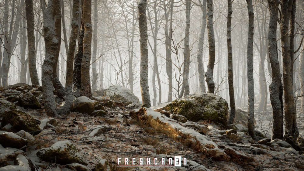 程序化橡树林Procedural Oak Forest