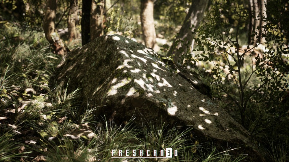 程序化橡树林Procedural Oak Forest