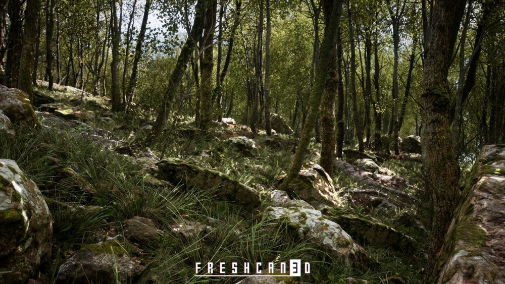 程序化橡树林Procedural Oak Forest