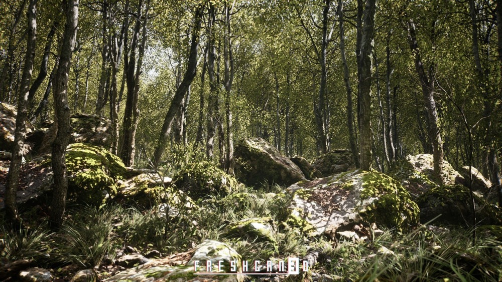 程序化橡树林Procedural Oak Forest