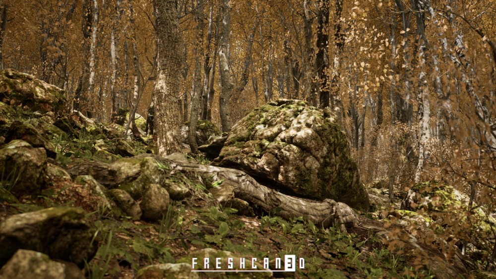 程序化橡树林Procedural Oak Forest