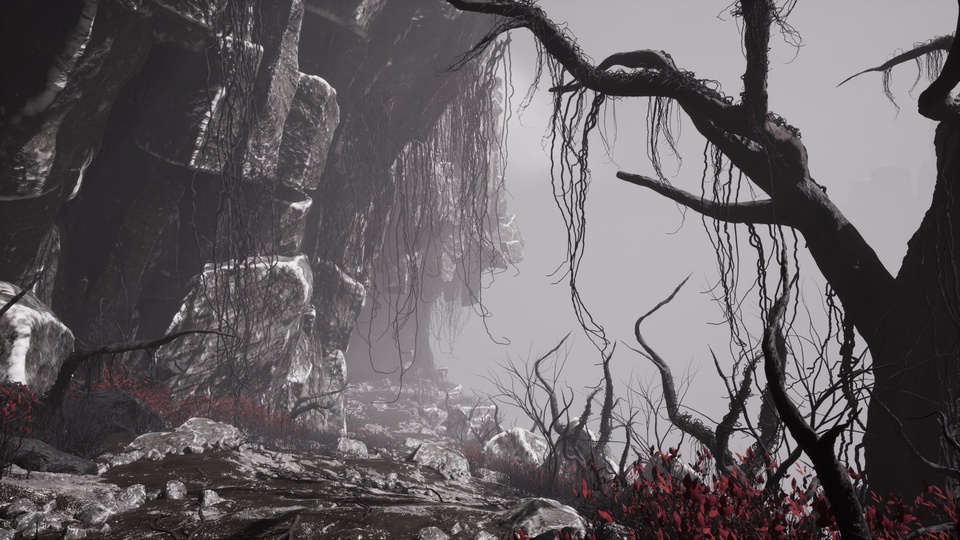 被诅咒的高原 – 黑暗奇幻角色扮演游戏的死亡环境The Cursed Plateau - Dead Environment for Dark Fantasy RPGs