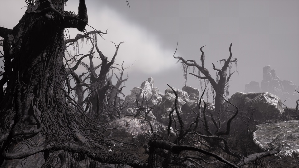 被诅咒的高原 – 黑暗奇幻角色扮演游戏的死亡环境The Cursed Plateau - Dead Environment for Dark Fantasy RPGs