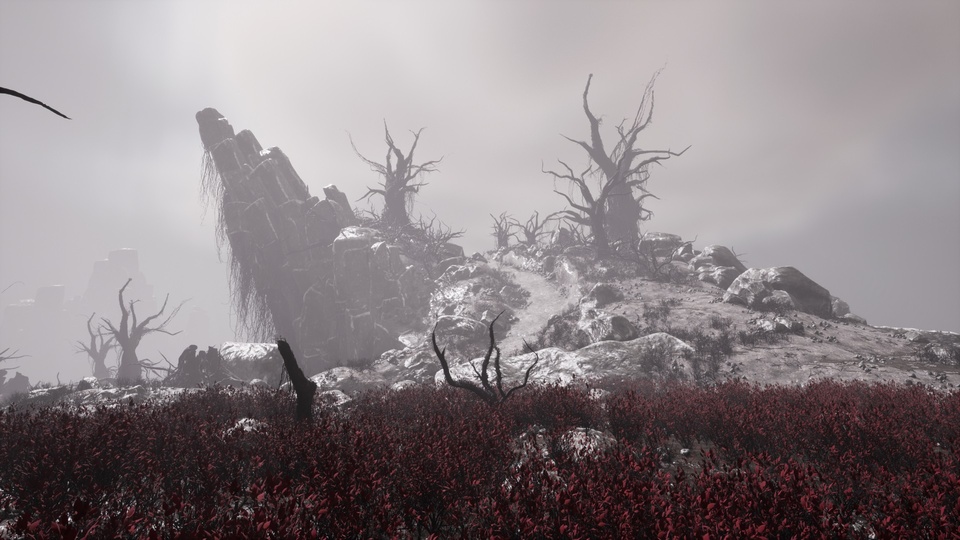 被诅咒的高原 – 黑暗奇幻角色扮演游戏的死亡环境The Cursed Plateau - Dead Environment for Dark Fantasy RPGs