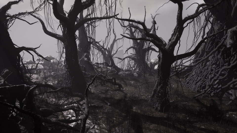 被诅咒的高原 – 黑暗奇幻角色扮演游戏的死亡环境The Cursed Plateau - Dead Environment for Dark Fantasy RPGs