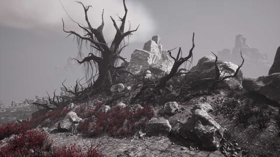 被诅咒的高原 – 黑暗奇幻角色扮演游戏的死亡环境The Cursed Plateau - Dead Environment for Dark Fantasy RPGs