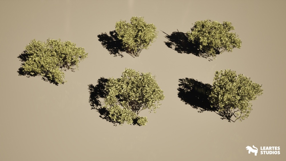 松树环境The Pine Environment