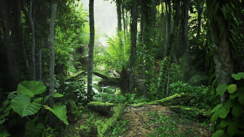 热带岛屿包Tropical Island Pack