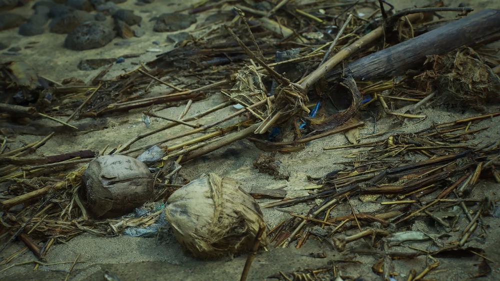 热带岛屿包Tropical Island Pack