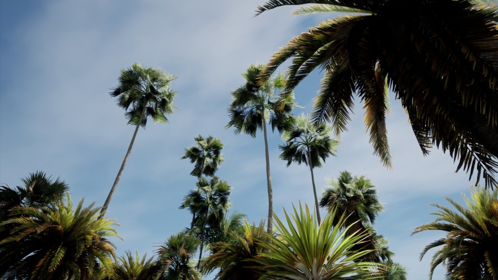 大棕榈植物包Big Palms Pack