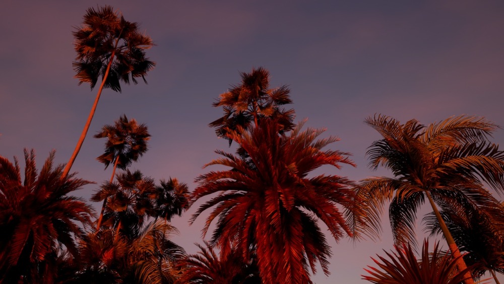 大棕榈植物包Big Palms Pack