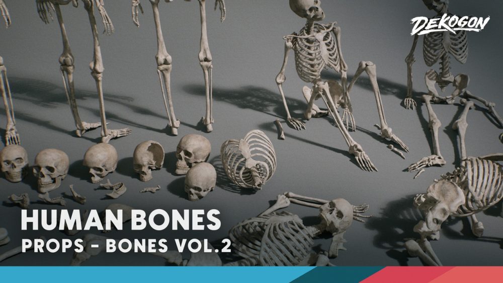 骨骼 VOL.2 - 人体骨骼 Bones VOL.2 - Human Bones