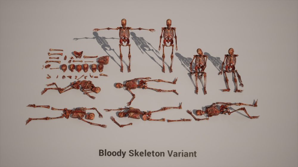 骨骼 VOL.2 - 人体骨骼 Bones VOL.2 - Human Bones