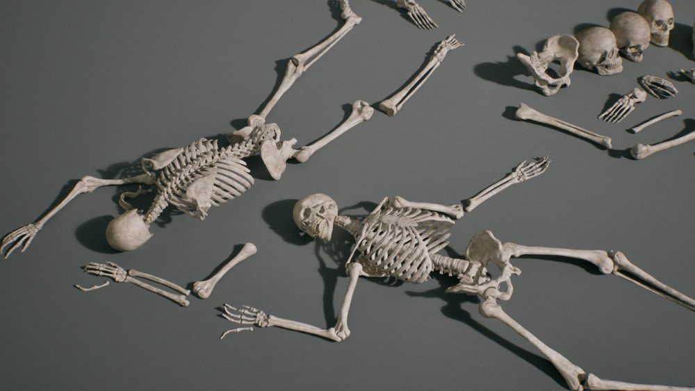 骨骼 VOL.2 - 人体骨骼 Bones VOL.2 - Human Bones