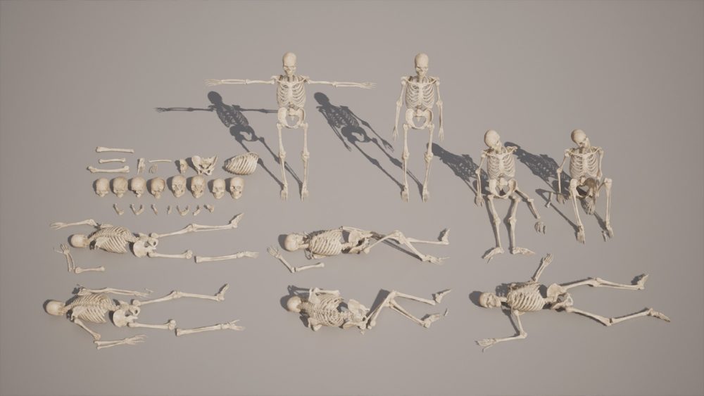 骨骼 VOL.2 - 人体骨骼 Bones VOL.2 - Human Bones