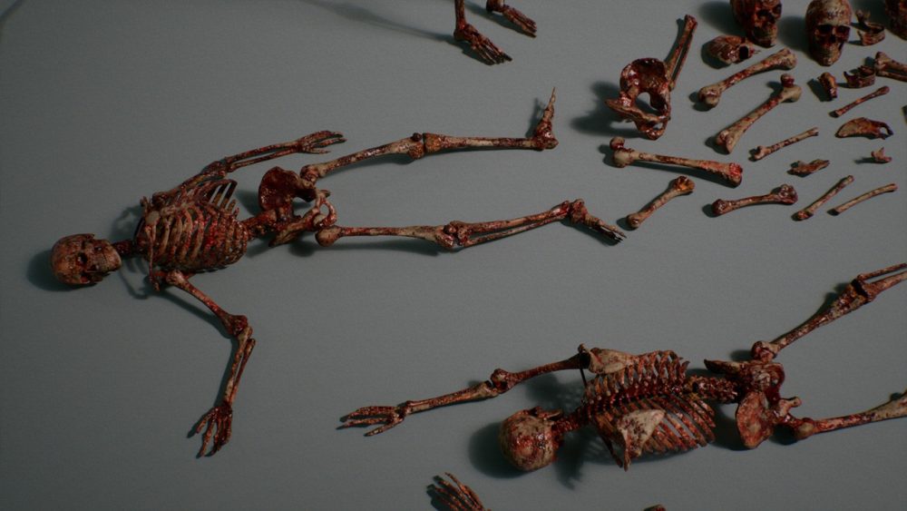 骨骼 VOL.2 - 人体骨骼 Bones VOL.2 - Human Bones