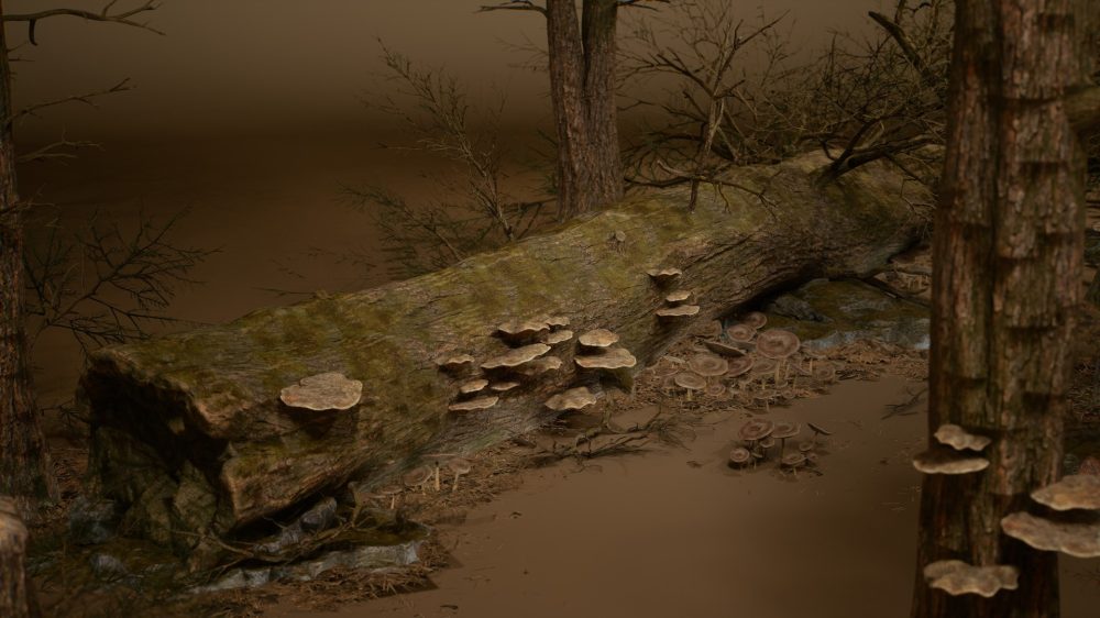 树叶 VOL.32 – 死亡森林 Foliage VOL.32 - Dead Forest