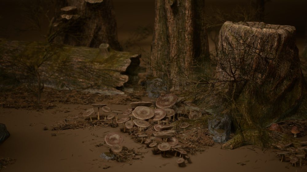 树叶 VOL.32 – 死亡森林 Foliage VOL.32 - Dead Forest