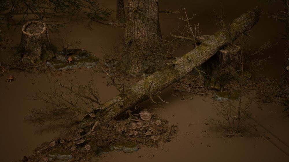 树叶 VOL.32 – 死亡森林 Foliage VOL.32 - Dead Forest