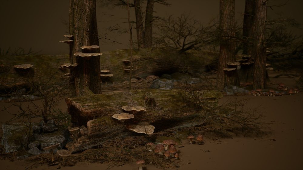 树叶 VOL.32 – 死亡森林 Foliage VOL.32 - Dead Forest