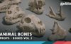 骨头 VOL.1 – 动物骨头 1 Bones VOL.1 – Animal Bones 1