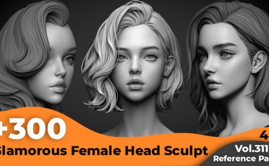 +300 张迷人的女性头雕参考图片 (4k)+300 Glamorous Female Head Sculpt Reference Images(4k)