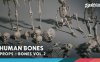 骨骼 VOL.2 – 人体骨骼 Bones VOL.2 – Human Bones