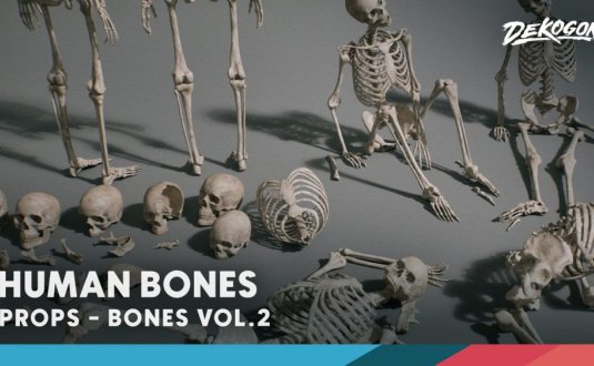 骨骼 VOL.2 – 人体骨骼 Bones VOL.2 – Human Bones